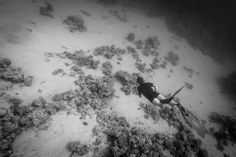 Freitaucher fliegt unter Wasser von Eric van Riet Paap