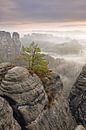 Morgenstimmung im Elbsandsteingebirge - Wunderschöne Sächsische Schweiz von Rolf Schnepp Miniaturansicht