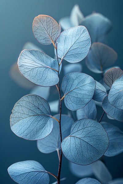Blaue Eukalyptusblätter in minimalistischem Realismus von Art & Soul Creations