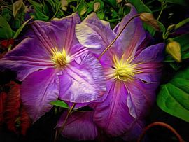 Clematis Azure Pearl by Dorothy Berry-Lound