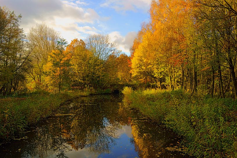 Herfst in de Hollandse Biesbosch par Michel van Kooten
