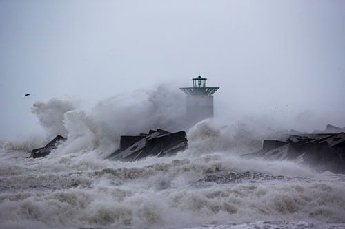 Westerstorm Scheveningen Harbour