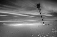 Beach Pole by Tom Roeleveld thumbnail