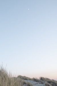 Mond scheint bei Sonnenuntergang über den Dünen | Reisefotografie-Druck | Texel Niederlande