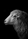 Schaap Dollie van Gisela- Art for You thumbnail