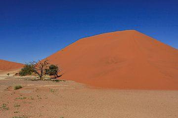 Die Dünen des Sossusvlei in Namibia von Roland Brack