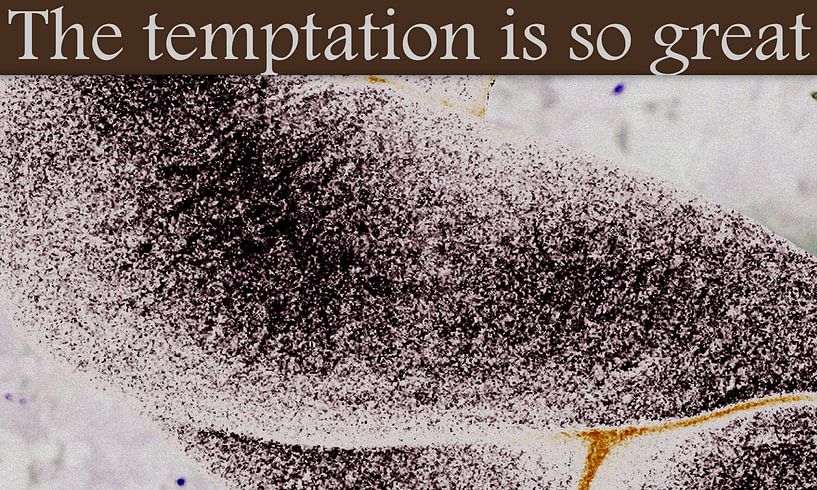 The temptation is so great by Marleen Rossetti-Weijtens