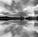 Windmolen reflectie in het water van Brian Morgan thumbnail