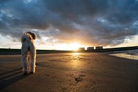 Sunset beach Wemeldinge