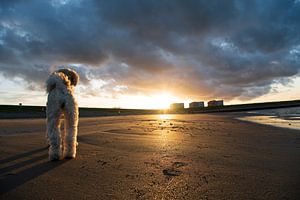 Zonsondergang strand Wemeldinge