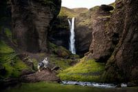 Australian shepherd at Kvernufoss