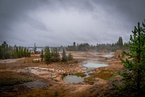 Yellowstone-Nationalpark