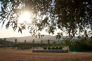 Landleben in Spanien