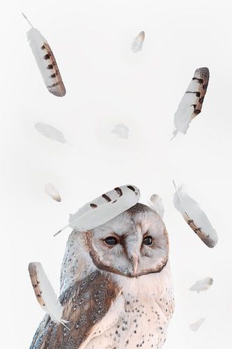 Majestätische Schleiereule mit schwebenden Federn auf weißem Hintergrund - perfekt für jedes Interieur von Elianne van Turennout