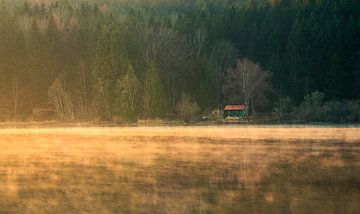 Huisje aan het meer in het gouden ochtendlicht van Andreas Föll
