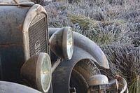 Old Peugeot among lavender, Provence
