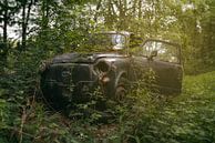 Old car Zastava taken by nature. von Vivian Teuns Miniaturansicht