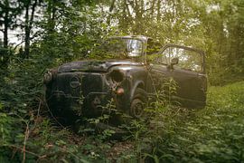 Old car Zastava taken by nature.
