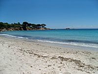 Corsica