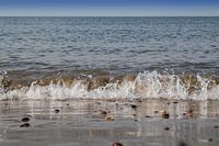 Wave and shells in the surf - beach Brouwersdam