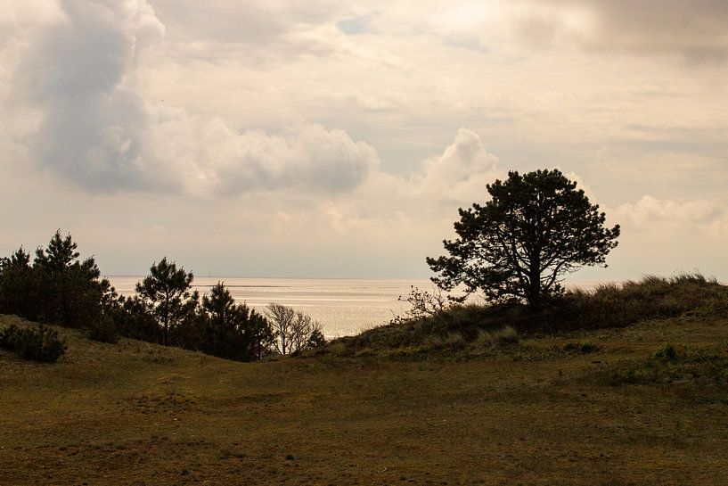 Frisian Island Vlieland by Ton Tolboom