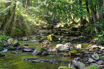 Ein Blick auf die Wasserfälle der Ilse im Harz.