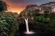 Rainbow Falls par road to aloha Aperçu