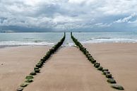 Het strand van Vlissingen. van Don Fonzarelli thumbnail
