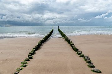 Het strand van Vlissingen. van Don Fonzarelli