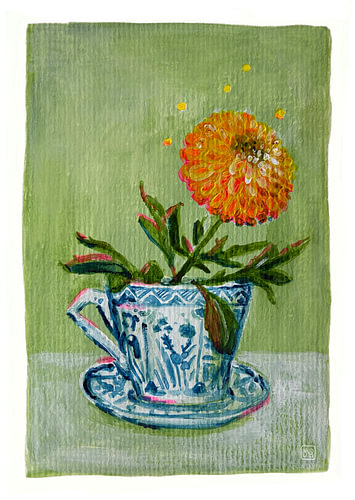 Chrysanthème