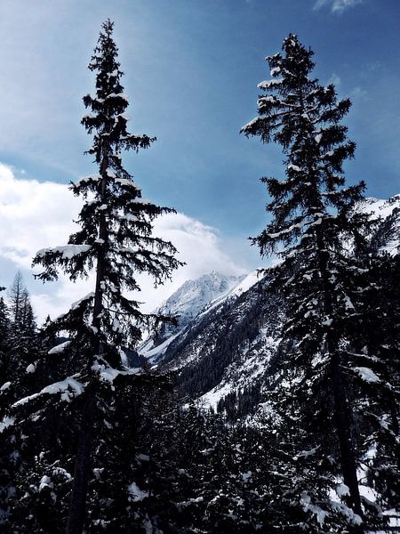 The magic of snow (5) by Christoph Van Daele