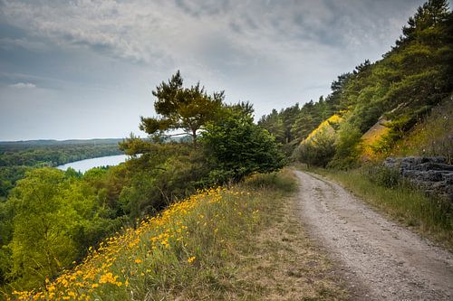 parc national de la Haute Campine sur Thomas Junklewitz