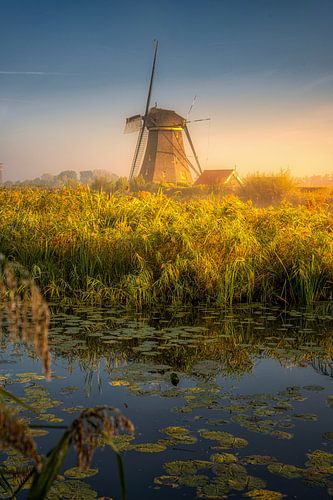 Molen Kinderdijk tijdens het ochtendgloren