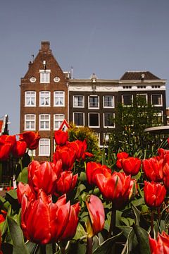 Amsterdam in de lente van Yuliya Yarmolich