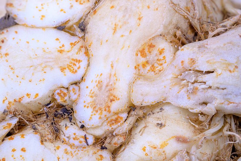 Abstract macro photo of a celery by ManfredFotos