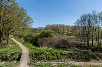 N.R Broekpolder 05