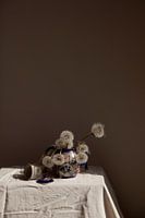 Stilleven van hangende paardenbloemen pluizenbollen in ochtendlicht
