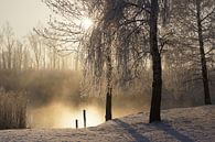 Winter in Biesbosch von Michel van Kooten Miniaturansicht