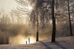 L'hiver dans le Biesbosch sur Michel van Kooten