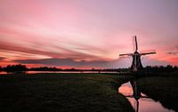 De Molen en het Roze Avondlicht