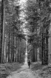 Runner in the woods by Tanja de Boer