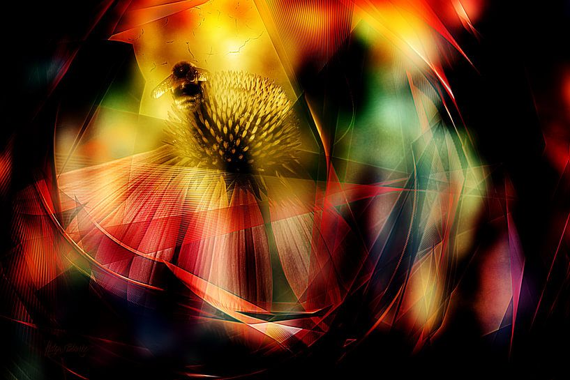 Conflower avec Bee par Helga Blanke