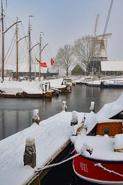 Winter in Harderwijk 2026 van Nienke Bot