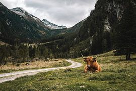 Walk to the Arthur von Schmid Haus, Mallnitz, Austria by Maaike van Perlo - Verhoef