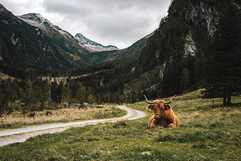 Spaziergang zum Arthur von Schmid Haus, Mallnitz, Österreich von Maaike van Perlo - Verhoef