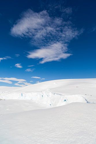 Paysage de montagne en Antarctique ;
