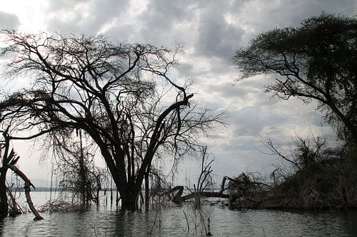 Kenia, ondergelopen rivier