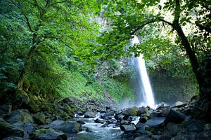 Forest Serenity: Waterfall and Stream Photo with Rocks, Overhanging Tree, and Lush Greenery