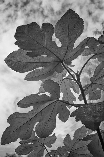 Wer passt auf die Klinge... von Arie Jan Kraai