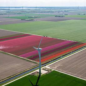 Holland van Boven van Larissa Geuke